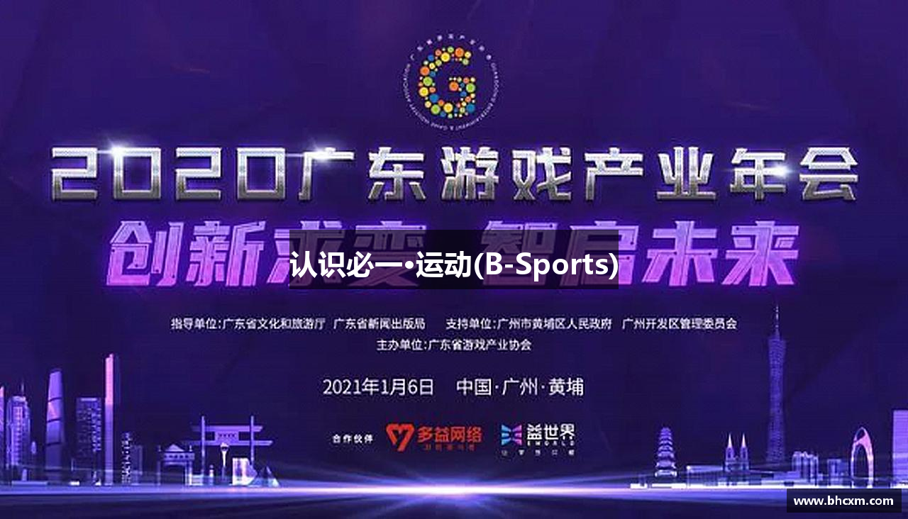 认识必一·运动(B-Sports)